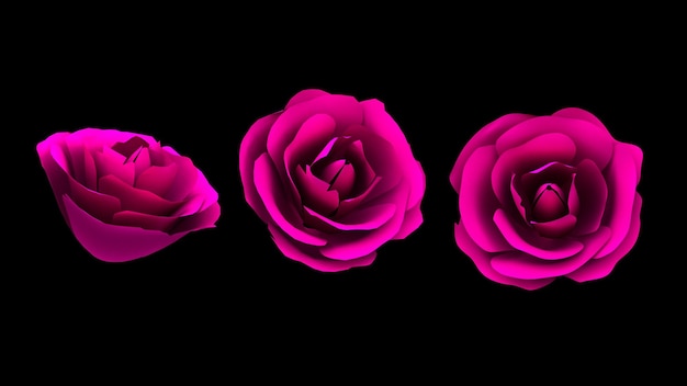 Foto 3d hace que las rosas florezcan