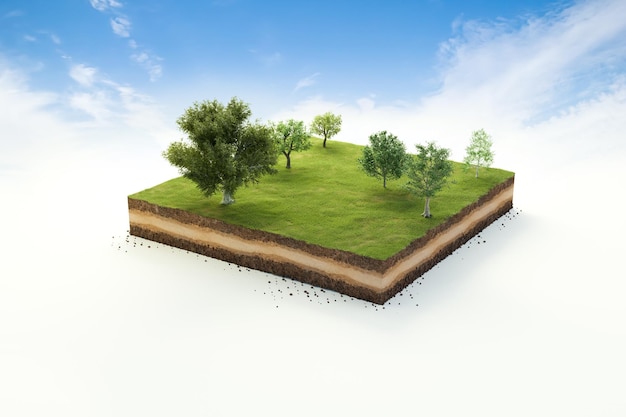 3D jardim cúbico grama terra com árvores solo geologia seção transversal Ilustração 3D ecologia à terra isolada no céu azul