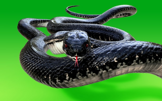 3D King Cobra Black Snake Die längste giftige Schlange der Welt