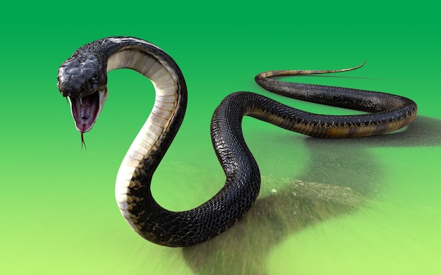 3D King Cobra Black Snake Die längste giftige Schlange der Welt