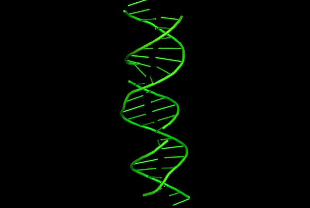 3D-Modell der DNA