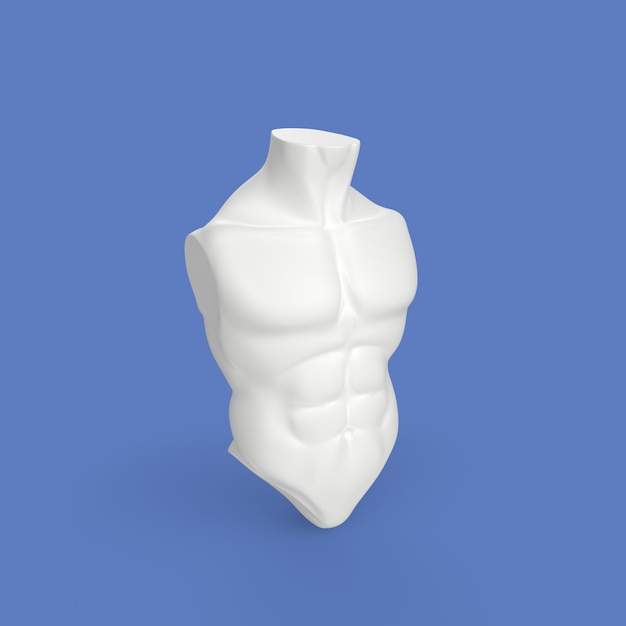 3D-Modellierung des menschlichen Torsos