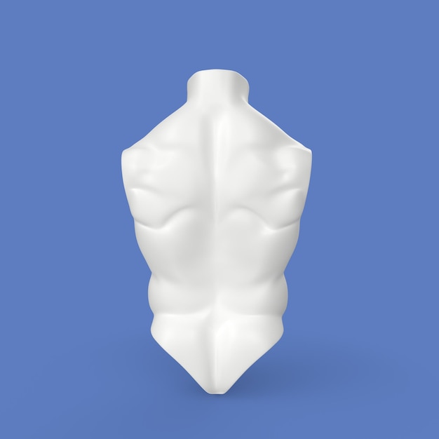 3D-Modellierung des menschlichen Torsos