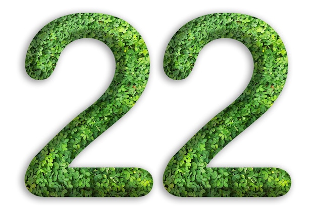 3d del número 22 está hecho de hierba verde sobre fondo blanco