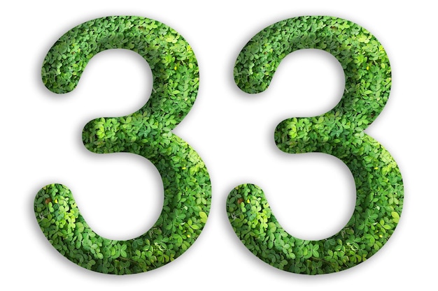 3d del número 33 está hecho de hierba verde sobre fondo blanco