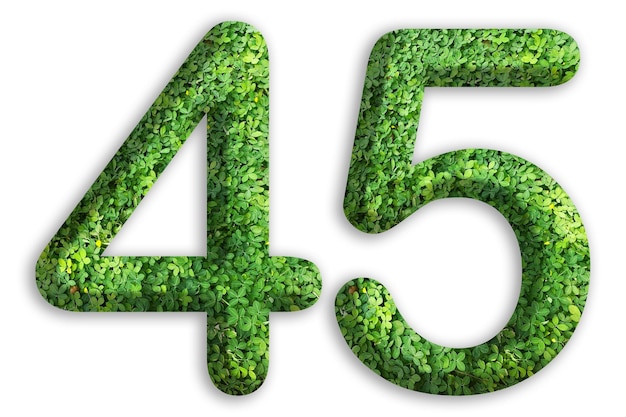 3d del número de 45 está hecho de hierba verde sobre fondo blanco ir concepto verde