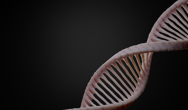 3d render Helix hebra complementaria de ADN de secuencias de ARN código genético o genoma Base de datos de nucleótidos de expresión génica El proceso central de transcripción y traducción del dogma Gen humano