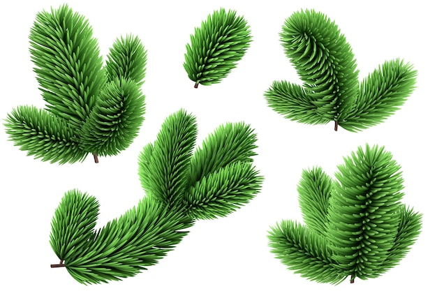 3d render Modern spruce twigs set coniferous clip art collection Elementos del árbol de Navidad aislados sobre fondo blanco