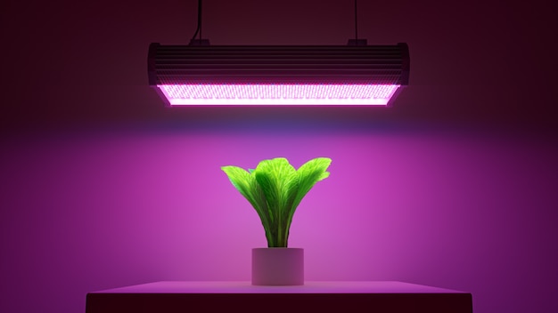 Foto 3d render planta verde en una maceta bajo luz led rosa