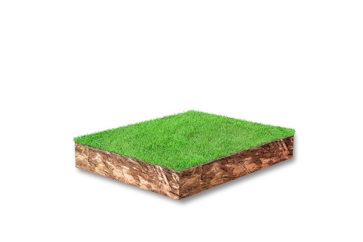 Foto 3d render. seção transversal cúbica do solo com grama verde isolada no fundo branco