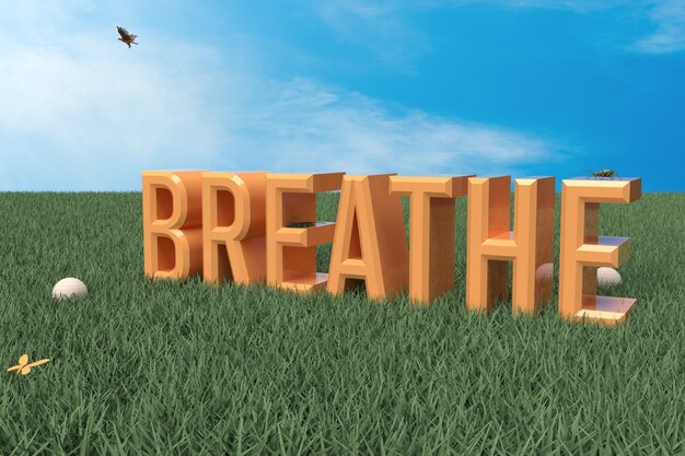3d render texto respirar sobre hierba con cielo azul