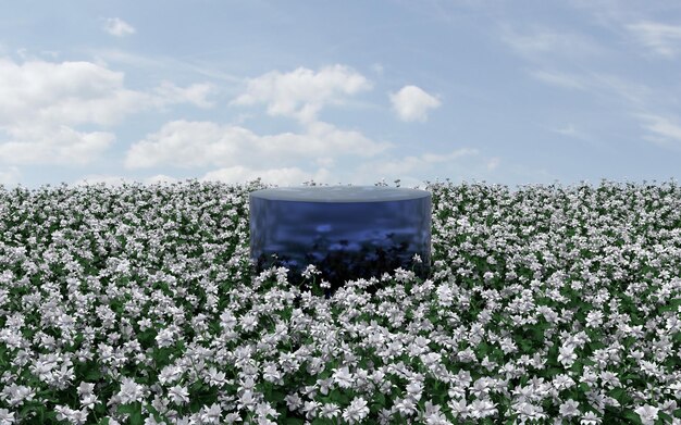 3D-Rendering abstrakte Blumenfeldszene mit Podium für die Produktpräsentation