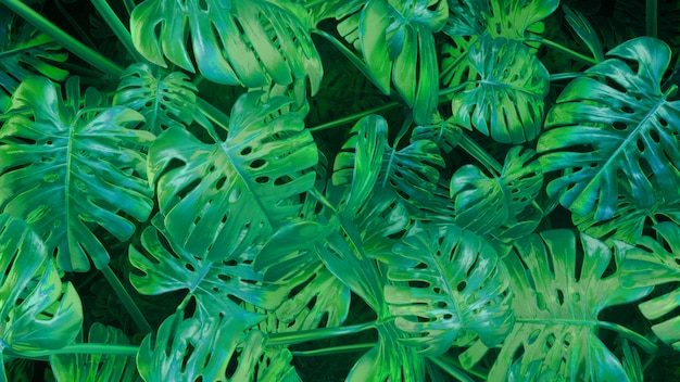 3D rendering cg Fondo de plantas abstractas verdes