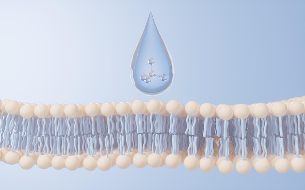 3D-Rendering der Zellmembranstruktur im Hintergrund