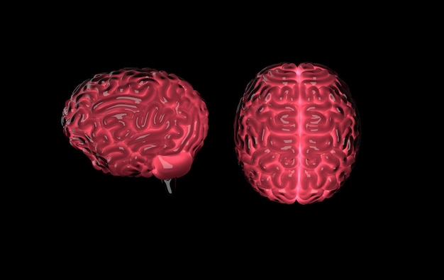 3D-Rendering des menschlichen Gehirns isoliert auf Schwarz Konzept des Lernens von Intelligenztechnologie Licht der Idee