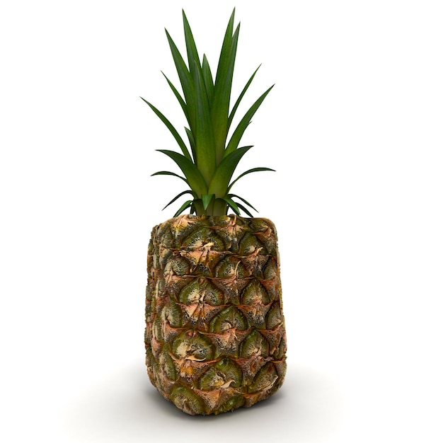 3D-Rendering einer würfelförmigen Ananas