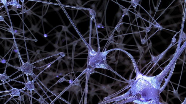 3D-Rendering eines Netzwerks von Neuronenzellen und Synapsen, durch das elektrische Impulse und Entladungen während der Informationsübertragung im menschlichen Gehirn geleitet werden