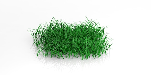 3D-Rendering-Gras auf weißem Hintergrund