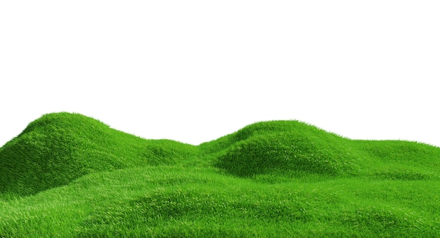 3D-Rendering. Hügel des grünen Grases lokalisiert.