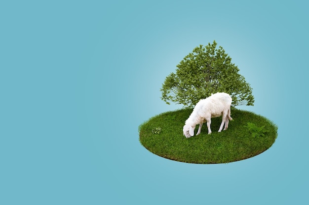 3D-Rendering Junge weiße Schafe, die grünes Gras auf dem Feld mit großem Baum essen Eid Adha Concept