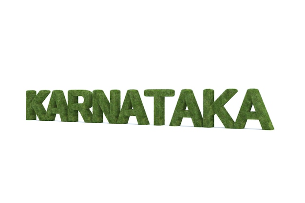 3D-Rendering von grünem Gras KARNATAKA Wort isoliert