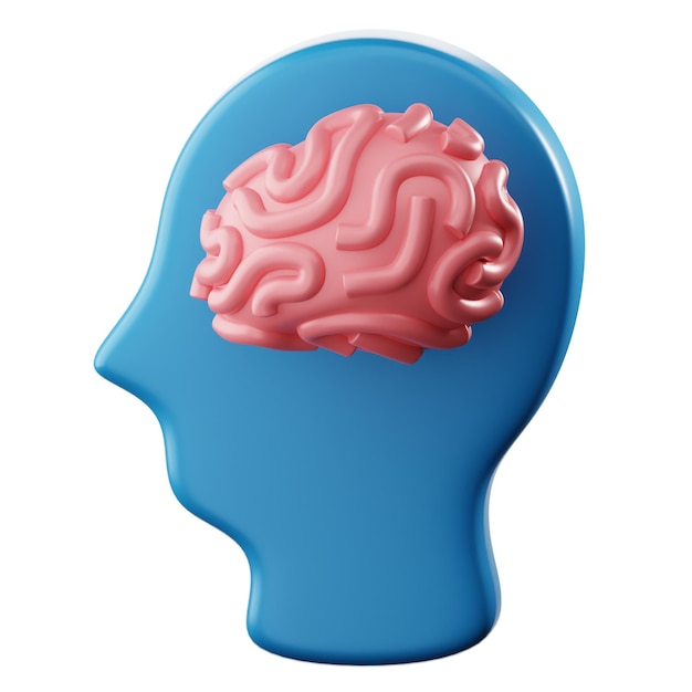 3D-Rendering von isolierten Illustrationen des Gehirns