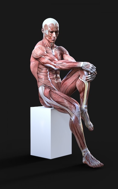 3D-Rendering von männlichen Figuren posieren mit Muskel