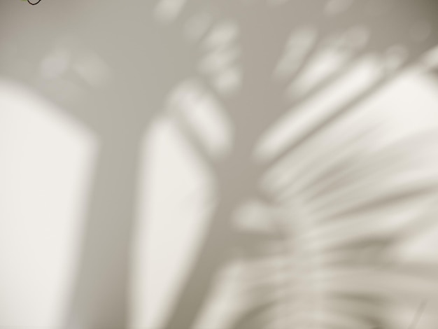3D-Rendering von unauffälligem botanischen Hintergrund mit Schatten an der Wand