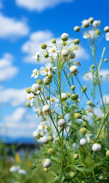 3D-Rendering von wunderschönen Blumen UHD-Wallpapier