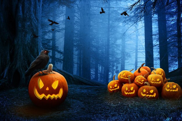 3D renderização de abóboras de Halloween na floresta escura e assustadora