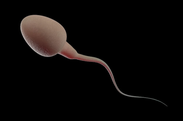 Foto 3d renderização de esperma em fundo preto