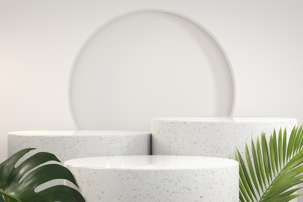 3D Renderização Etapa Pódio Branco Exibição Tropic Palm Monstera Fundo Abstrato