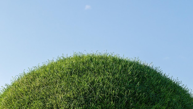 3D renderizado de campo de grama verde em pequenas colinas e céu azul claro