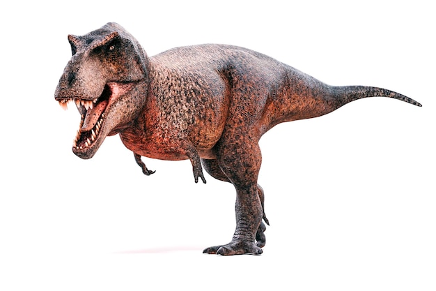 3D-Rendern des Tyrannosaurus rex auf weißem Hintergrund