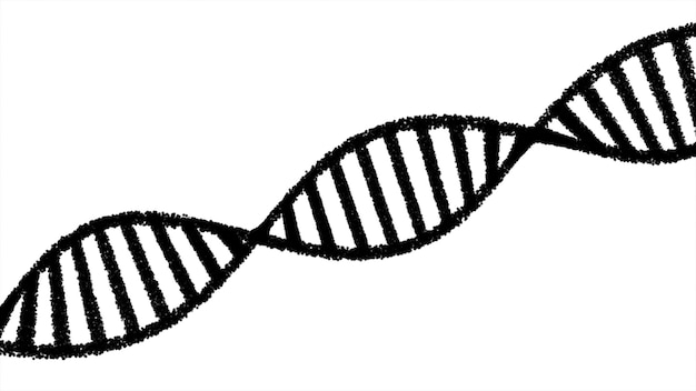 Foto 3d schwarzer dna-strang dna-struktur isolierter hintergrund dna isoliert auf weißem hintergrund