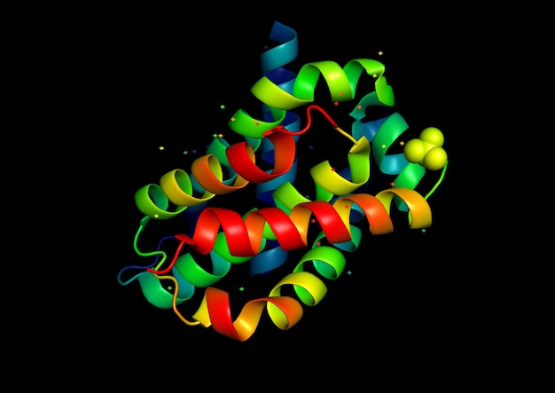 3D-Struktur des Proteinmoleküls