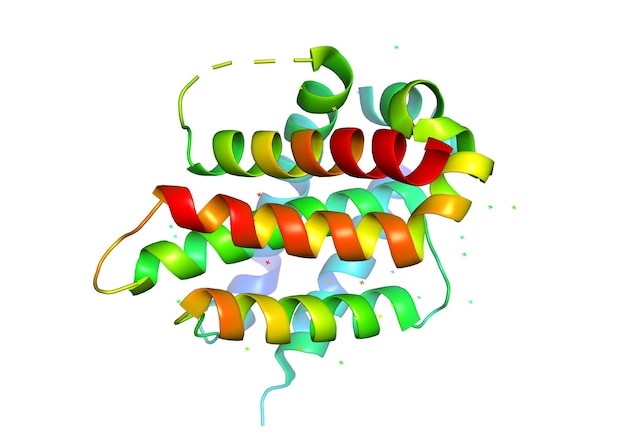 Foto 3d-struktur des proteinmoleküls