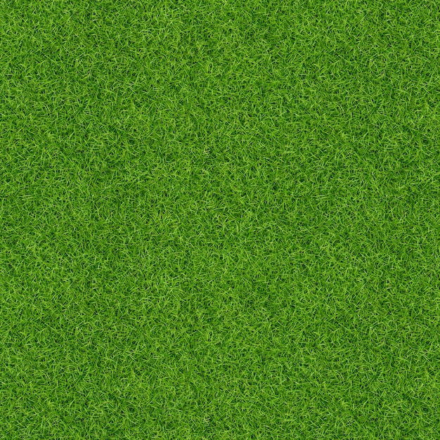 3D übertragen von der Beschaffenheit des grünen Grases für Hintergrund. Grüner Rasenbeschaffenheitshintergrund. Nahansicht.