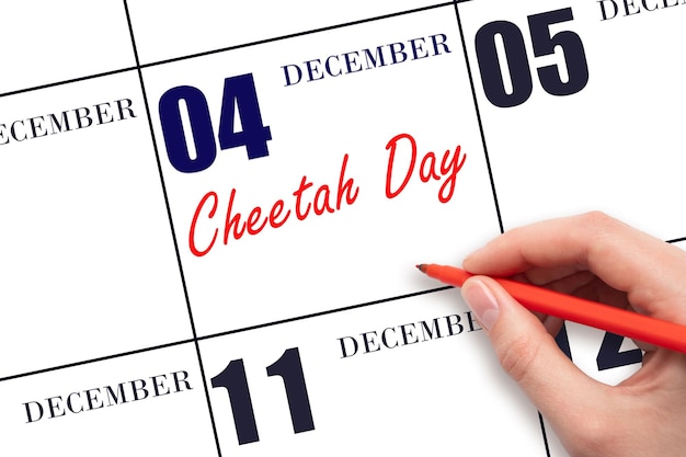 4. Dezember Handschriftlicher Text Cheetah Day am Kalenderdatum Speichern Sie das Datum