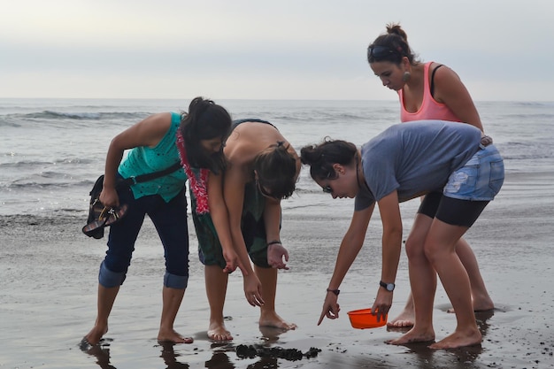 4 Frauen suchen am Ufer eines Strandes bei Sonnenuntergang nach Steinen Muscheln emerita analoga