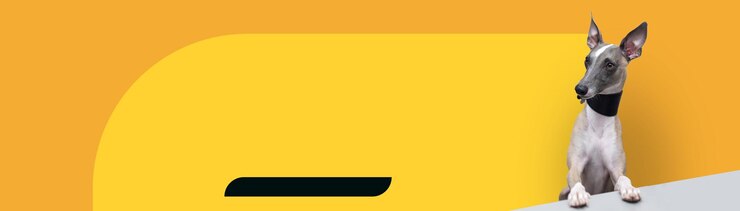 4x1-Banner für Webdesign, soziale Netzwerke und Typografie Whippet-Hund Großer Hintergrund-Kopierraum