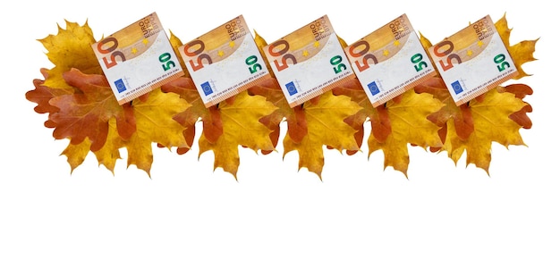 50-Euro-Banknoten und mehrfarbige Ahornblätter im Herbst Das Konzept der saisonalen Preisänderungen