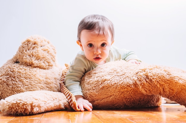 8 Monate altes Baby spielt mit einem riesigen Teddybären auf weißem Hintergrund