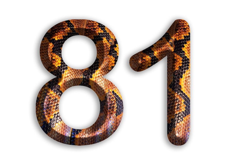 Foto 81 forma de número con motivo de piel de serpiente diseño piel de pitón
