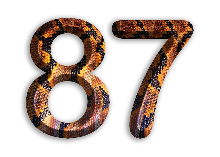 Foto 87 forma de número con motivo de piel de serpiente diseño piel de pitón