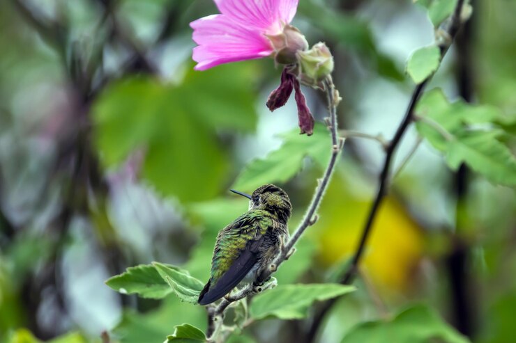 Foto a abelha polinizando uma flor