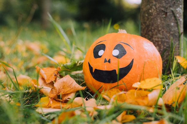 A abóbora de halloween de jackie está deitada na grama. um artigo sobre o halloween. uma abóbora laranja com uma cara. dia das bruxas