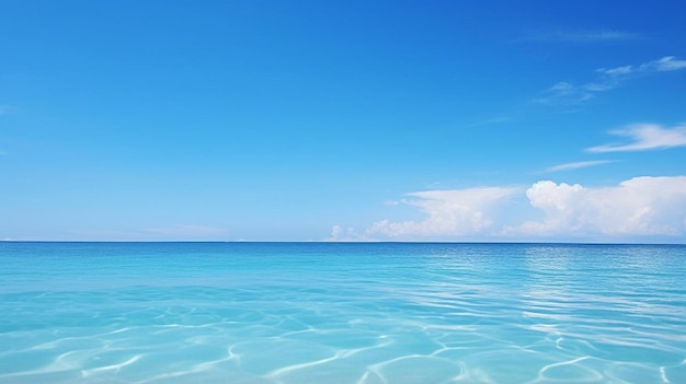 A água do oceano é clara e azul.