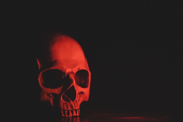 A anatomia do crânio humano mostrou dentes e esqueletos Sinta o horror do rosto morto escuro isolado e o conceito assustador