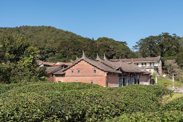 A aparência geral dos templos budistas tradicionais chineses